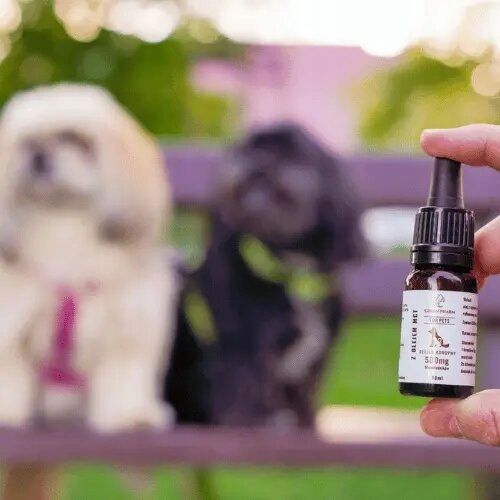 Olejek CBD dla Psa i Kota 5% 500 mg | Weterynaryjny | Bez THC | Bezsmakowy na Arena.pl