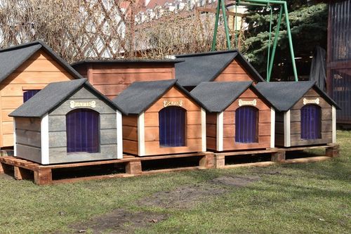 BUDA DLA PSA RÓŻNE KOLORY OCIEPLANA M +GRATISY!!! na Arena.pl