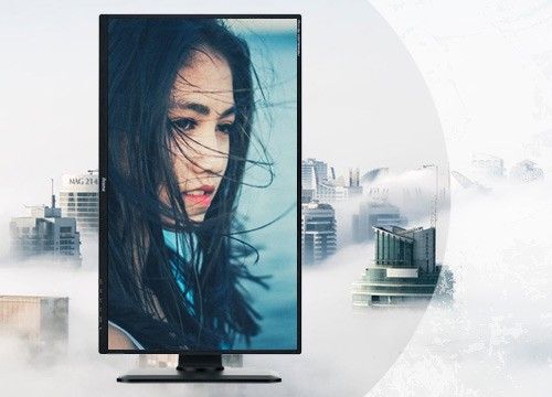 Monitor iiyama ProLite B1780SD-W 17" LED na Arena.pl