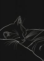 Plakat 50x70cm Nocny Spokój