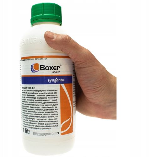 Boxer 800EC 1L chwastobójczy na miotłę i dwuliście na Arena.pl