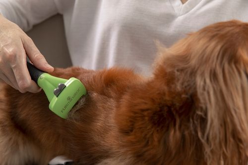 FURminator dla psów średnich sierść krótka M na Arena.pl