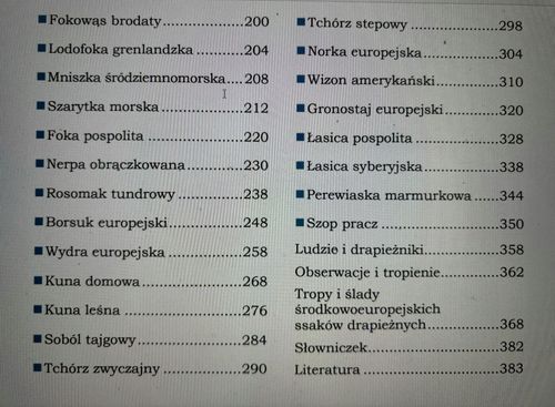 Ssaki drapieżne Europy na Arena.pl