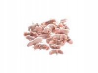 Myszy mrożone oseski 1/2g [opakowanie 25 szt]