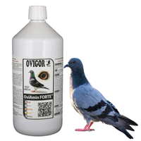 OviAmin Forte Aminokwasy Elektrolity Witaminy dla gołębi Ovigor 1000ml 1L