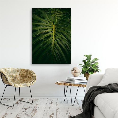 Deco Panel, Monstera liść grafika 40x60 na Arena.pl