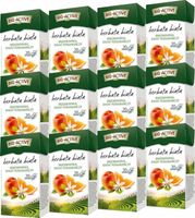 (x12) BIG ACTIVE Herbata Biała 20tb Brzoskwinia Pomarańcza