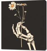 product-compare-59511447