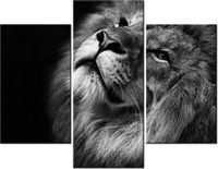 product-compare-58711606