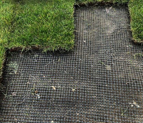 SIATKA NA KRETY 1x50m UV+ POLSKA MOCNA GĘSTA WYTRZYMAŁA PRZECIW KRETOM na Arena.pl