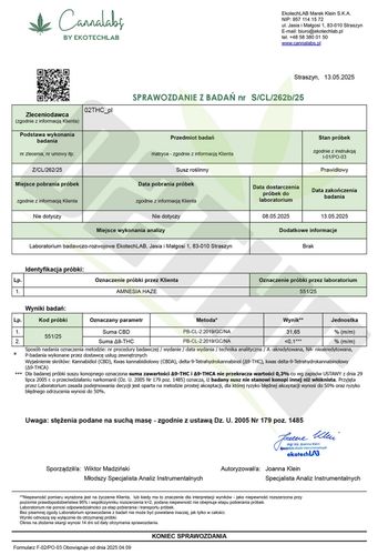 Susz konopny CBD | AMNESIA HAZE | 100 g na Arena.pl