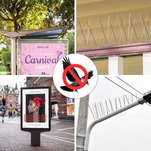 10x METALOWE KOLCE NA PTAKI GOŁĘBIE GĘSTE PRZECIW PTAKOM KUNOM NIERDZEWNE na Arena.pl