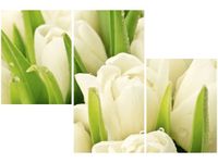 60 90CM OBRAZ 3 ELEM DELIKATNE TULIPANY ŚCIENNY DRUK PŁÓTNO
