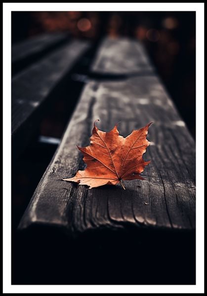 Plakat 68x101cm Pojedynczy Liść zdjęcie 3