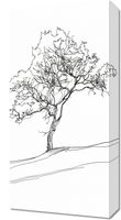 Obraz 30x60cm Drzewo w Zarysie