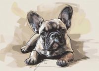 product-compare-59397852