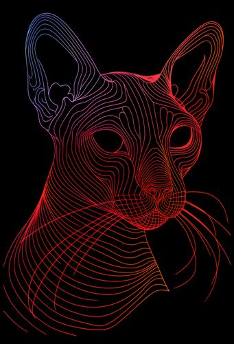 Plakat 67,5x100cm Cyfrowa Kocica na Arena.pl