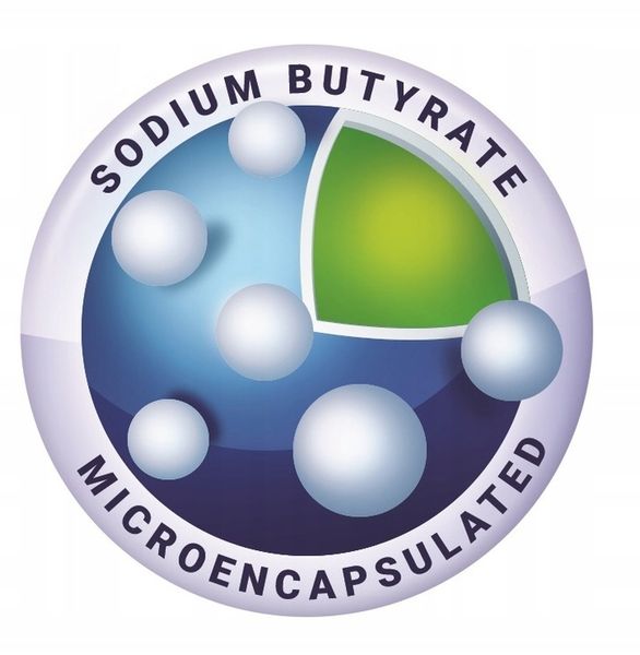 MAŚLAN SODU Aliness 720mg Kwas Masłowy Butyric Acid 100 kapsułek zdjęcie 5