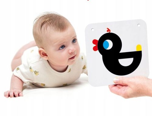 CzuCzu Karty Kontrastowe Książeczki na Sznureczku dla Malucha 0m+ 3m+ na Arena.pl