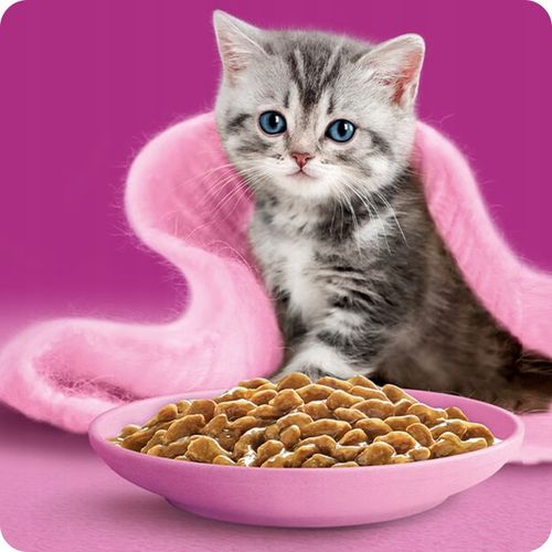 MOKRA KARMA WHISKAS JUNIOR DROBIOWA UCZTA 40x85G MIX SMAKÓW W GALARETCE na Arena.pl