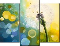 product-compare-58672999