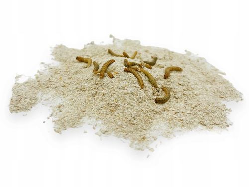 Pokarm Bug Bar 2L pasza dla owadów karmowych jak świerszcze, karaczany na Arena.pl