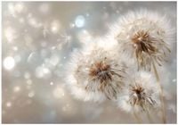 Fototapeta Na Flizelinie Do Sypialni Salonu Dmuchawce 400x280