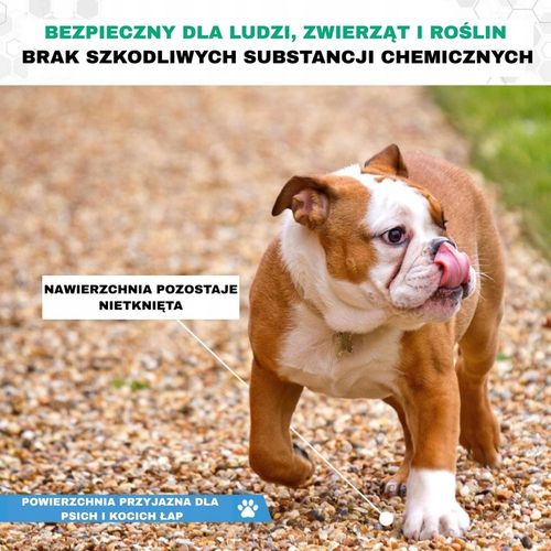 ECOHOLD 5L SPOIWO, KLEJ DO KAMIENIA ŻWIRU KORY ŚCIÓŁKI NA ŚCIEŻKI I RABATY na Arena.pl