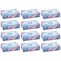 12x100 szt. Chusteczki higieniczne w pudełku bezzapachowe Alice 2 warst.
