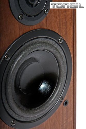 Polska Kolumna Podstawkowa Tonsil Fenix II Sat Satelitka Monitor / 1 szt. na Arena.pl