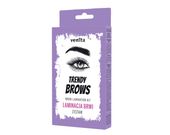 VENITA TRENDY BROWS ZESTAW DO LAMINACJI BRWI  16ML