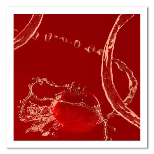 Deco Panel, Pomidor w wodzie 50x50 na Arena.pl