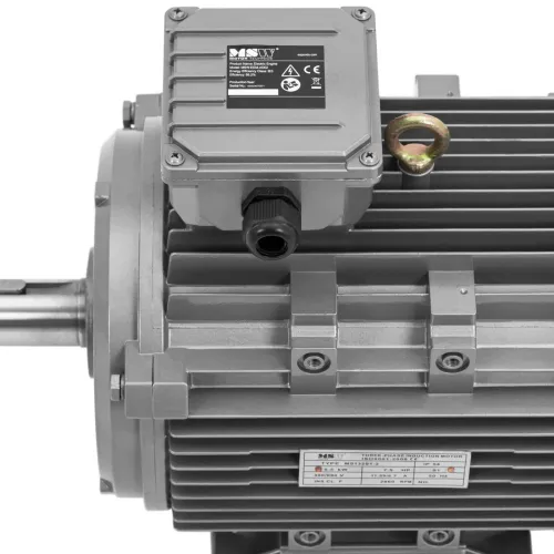 Silnik elektryczny asynchroniczny trójfazowy 2950 obr./min 230/400 V 5.5 kW na Arena.pl