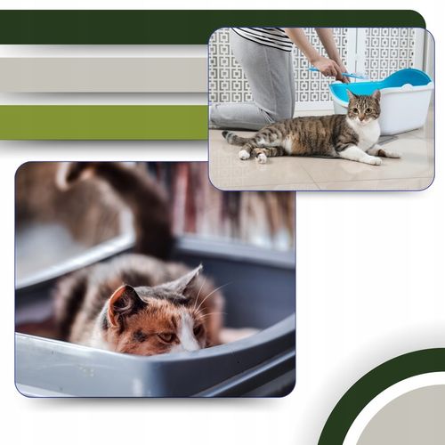 Żwirek dla Kota ZBRYLAJĄCY EKOLOGICZNY 24l Zbożowy BIODEGRADOWALNY do WC na Arena.pl