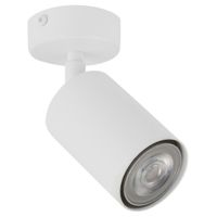 Metalowa tuba downlight ZOOM 33314 Sigma reflektorek biały