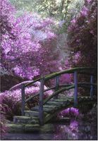 100 70CM OBRAZ PŁÓTNO TAJEMNICZY ZAKĄTEK PŁÓTNO RAMA