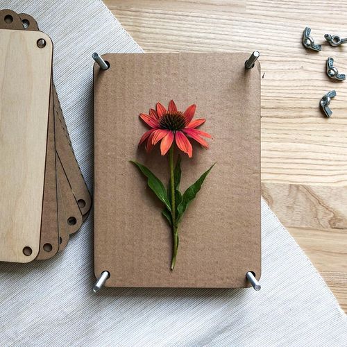 Zielnik Praska botaniczna do suszenia kwiatów ziół liści i roślin 21x15 na Arena.pl