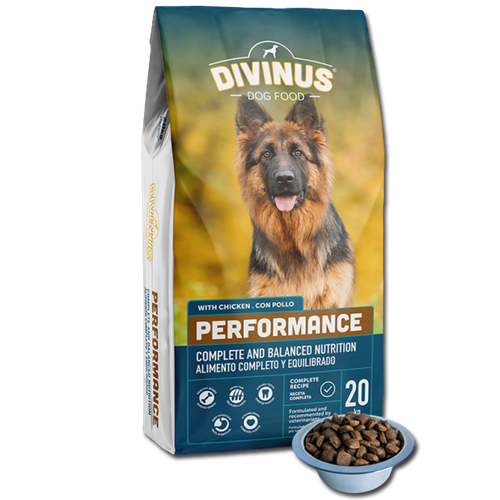 PRÓBKA Divinus Performance dla psów aktywnych 100g na Arena.pl