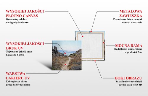 OBRAZ NA PŁÓTNIE 091 Sen 60x60cm na Arena.pl