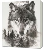 Obraz 50x60cm Wilczy Duch Lasu