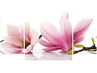 product-compare-58644104