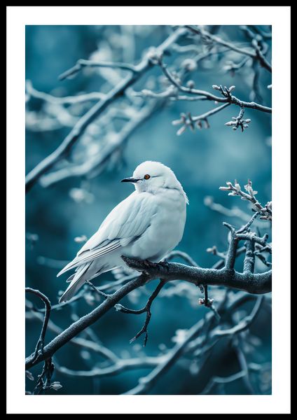 Plakat 40x60cm Perłowy Ptak zdjęcie 3