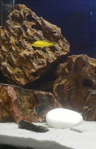 16kg Biały Piasek Kwarcowy do Akwarium 0,5-1mm na Arena.pl