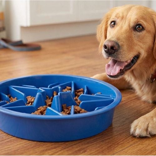Miska spowalniająca jedzenie dla psów Labirynt Niebieska na Arena.pl