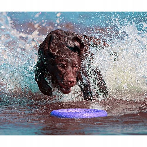 Szarpak dla psa PULLER Standard 28 cm - Zabawka 2 ringi dla dużych ras psów na Arena.pl