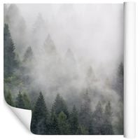 Fototapeta 3D Piękny Las we Mgle do Sypialni 90x60