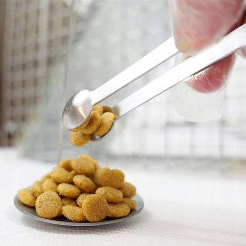 ŻYWOŁAPKA PUŁAPKA NA KUNY SZCZURY ŁASICE NORKI TCHÓRZE ŁASKI ŁAPKA na Arena.pl