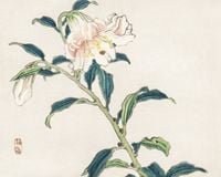 Plakat 50x40cm Lily, Kōno Bairei Japoński Vintage do Salonu