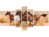 OBRAZ KONIE BIEGNĄCE GALOPEM