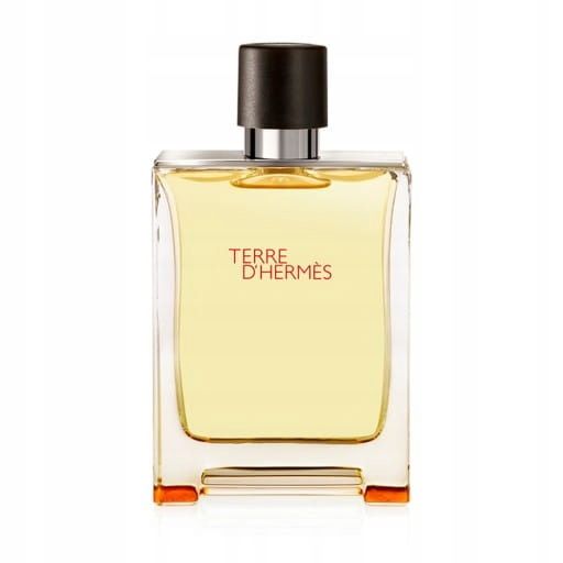 HERMES TERRE D'HERMES EDT 100 ML FLAKON zdjęcie 1